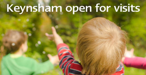 Snapdragons Keynsham now accepting visits